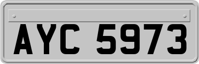 AYC5973