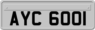 AYC6001