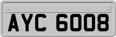 AYC6008