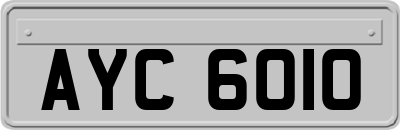 AYC6010