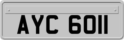 AYC6011
