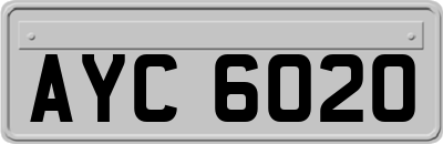 AYC6020