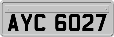 AYC6027