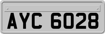 AYC6028