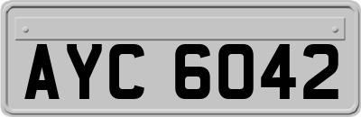 AYC6042