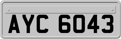 AYC6043