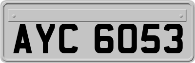 AYC6053
