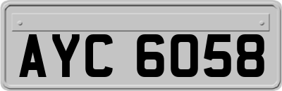 AYC6058
