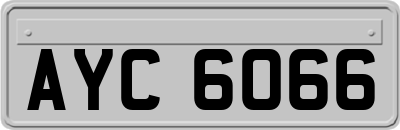 AYC6066