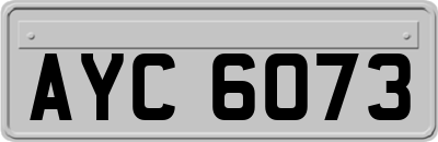 AYC6073