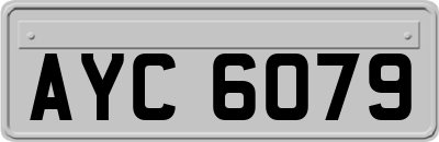 AYC6079