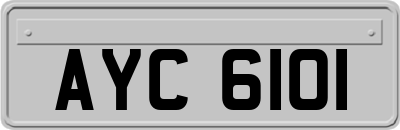 AYC6101