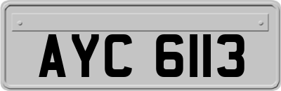 AYC6113