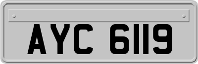 AYC6119
