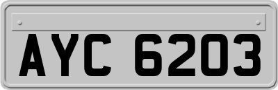 AYC6203