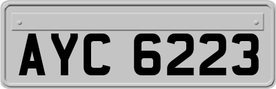 AYC6223