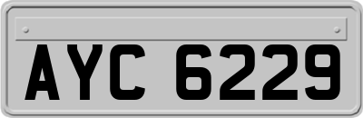 AYC6229
