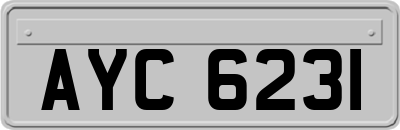 AYC6231