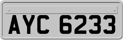 AYC6233