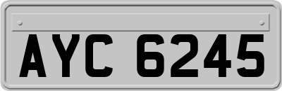 AYC6245