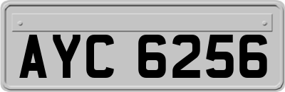 AYC6256
