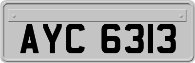 AYC6313