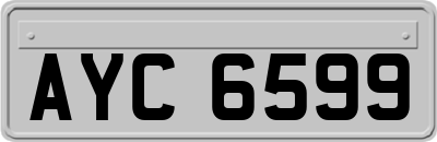 AYC6599