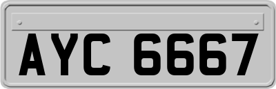 AYC6667