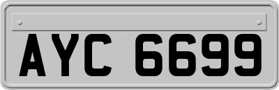 AYC6699
