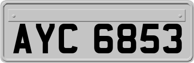 AYC6853