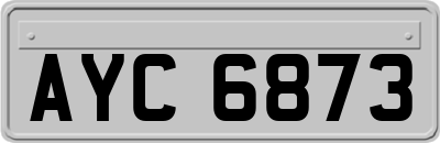 AYC6873