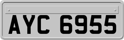 AYC6955