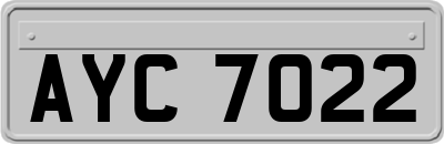 AYC7022