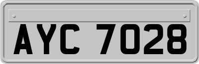 AYC7028