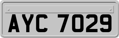 AYC7029
