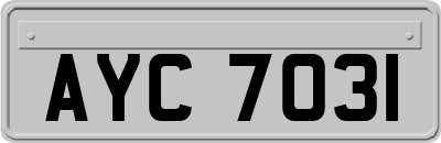 AYC7031