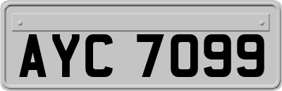 AYC7099