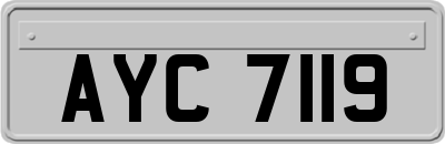 AYC7119