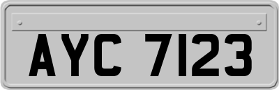 AYC7123