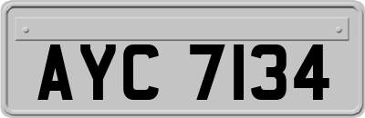 AYC7134