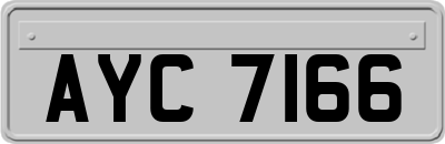 AYC7166