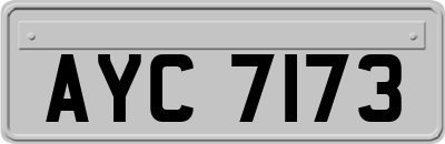 AYC7173