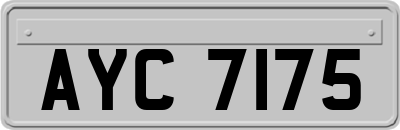 AYC7175