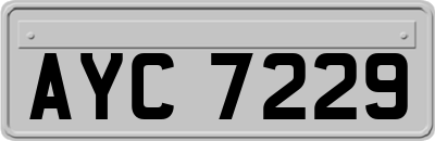 AYC7229