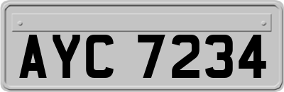 AYC7234
