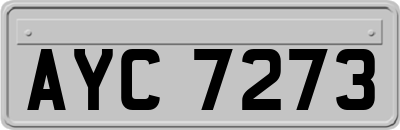 AYC7273