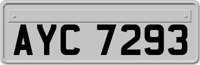 AYC7293