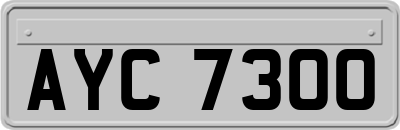 AYC7300