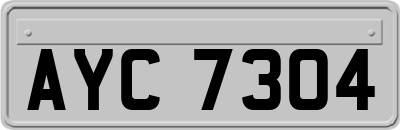 AYC7304