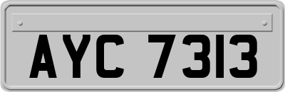 AYC7313